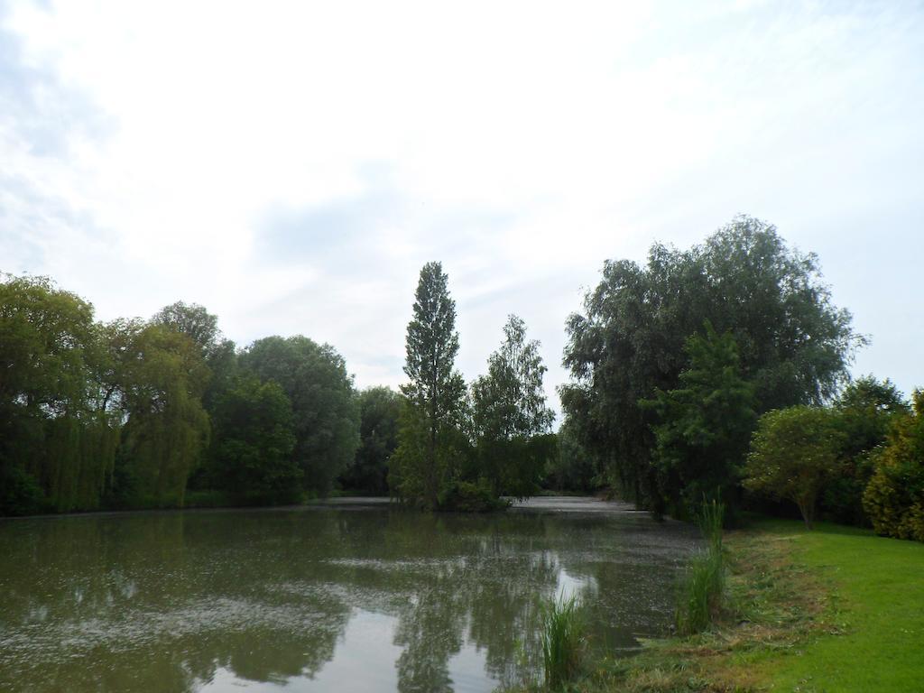 Domaine De La Helliere Hotel Lailly-en-Val Exterior foto